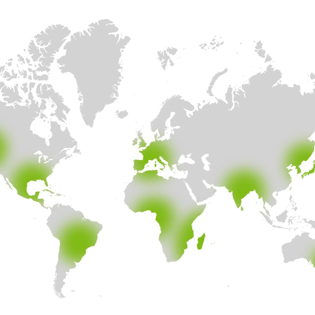 Earthfarms, project view 15