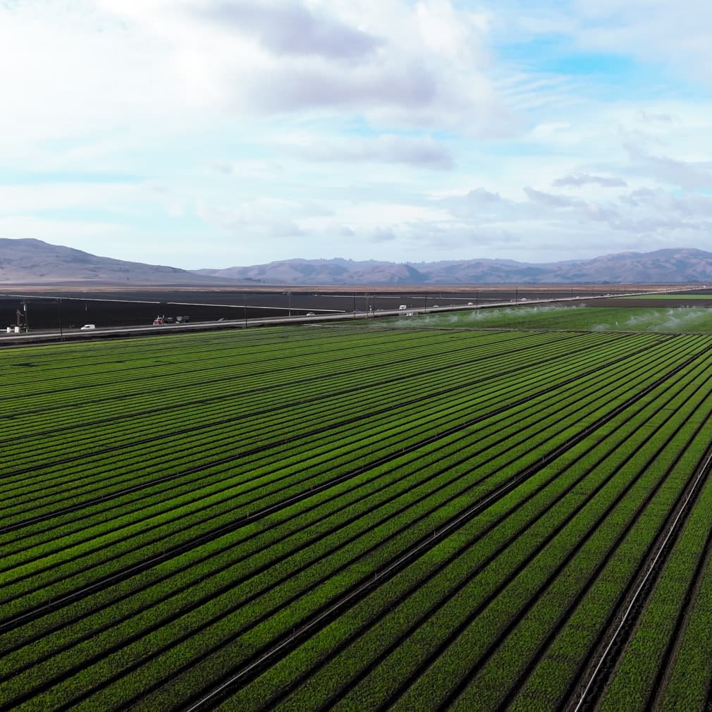 Earthfarms, project view 17