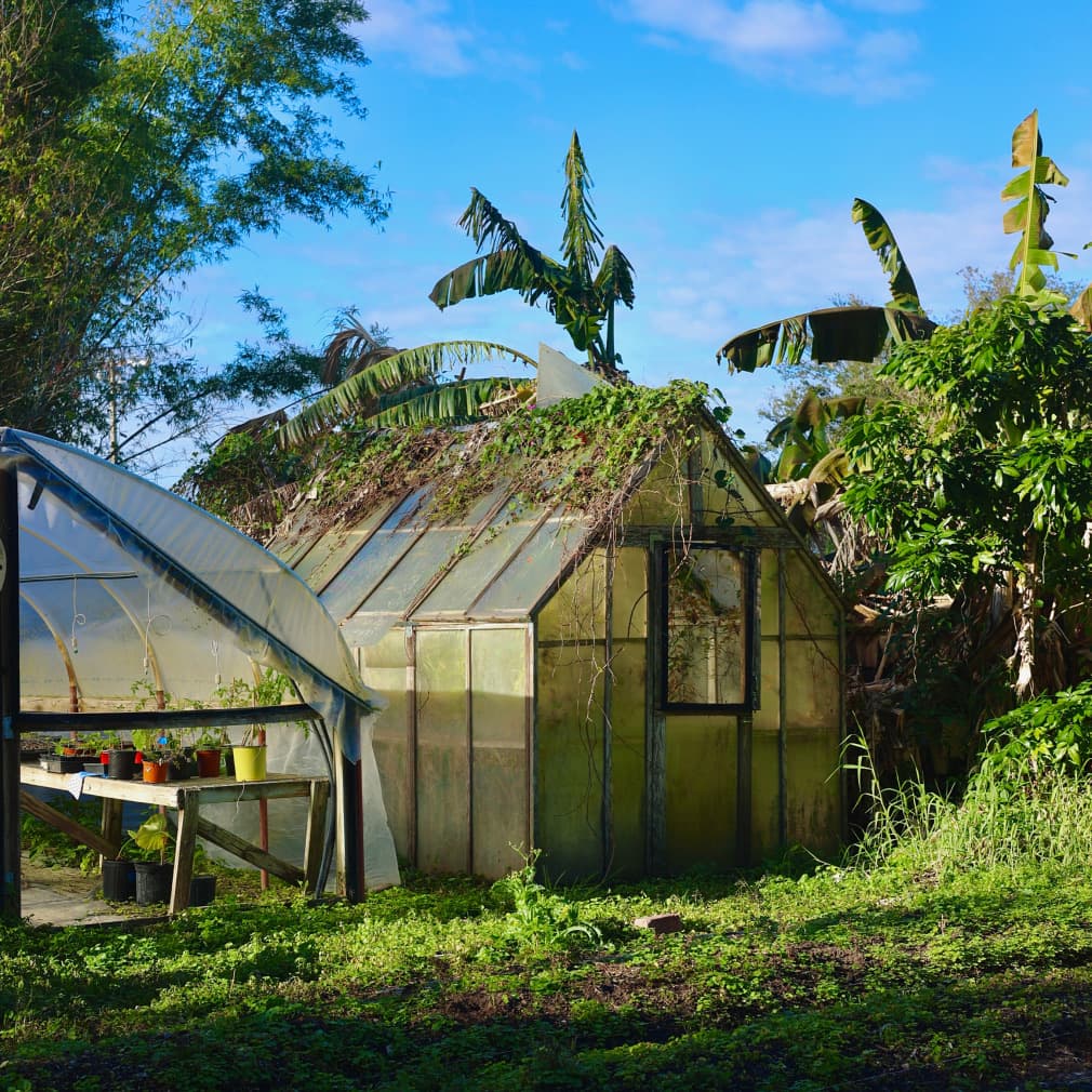 Earthfarms, project view 2