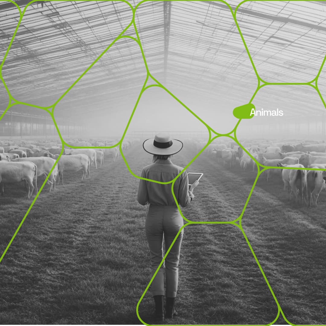 Earthfarms, project view 32