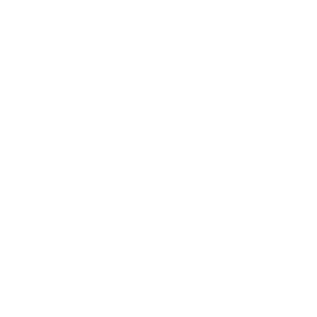 brightinstitute