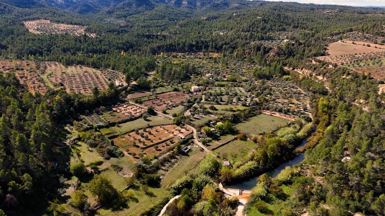 Arnes, project view 37