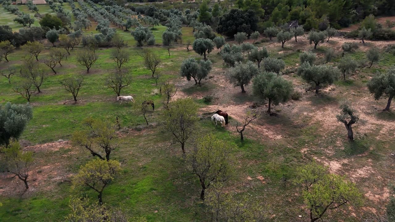 Arnes, project view 12
