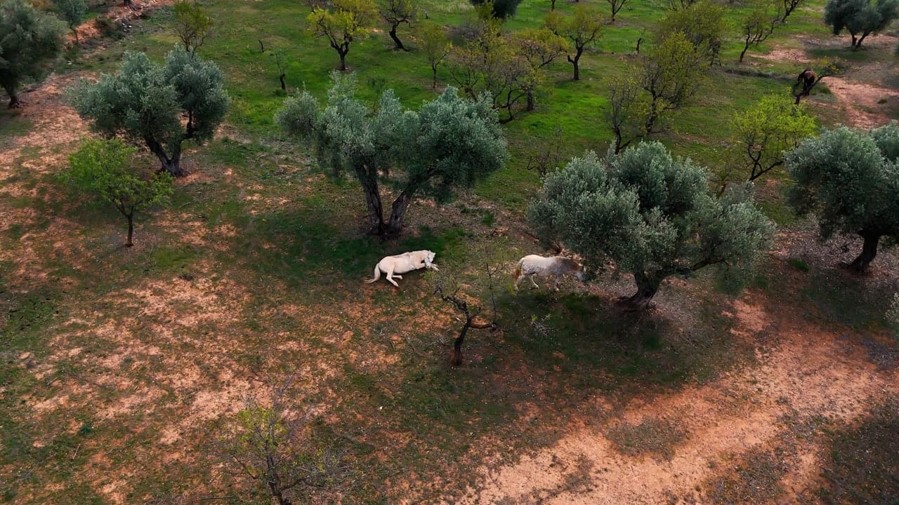 Arnes, project view 35