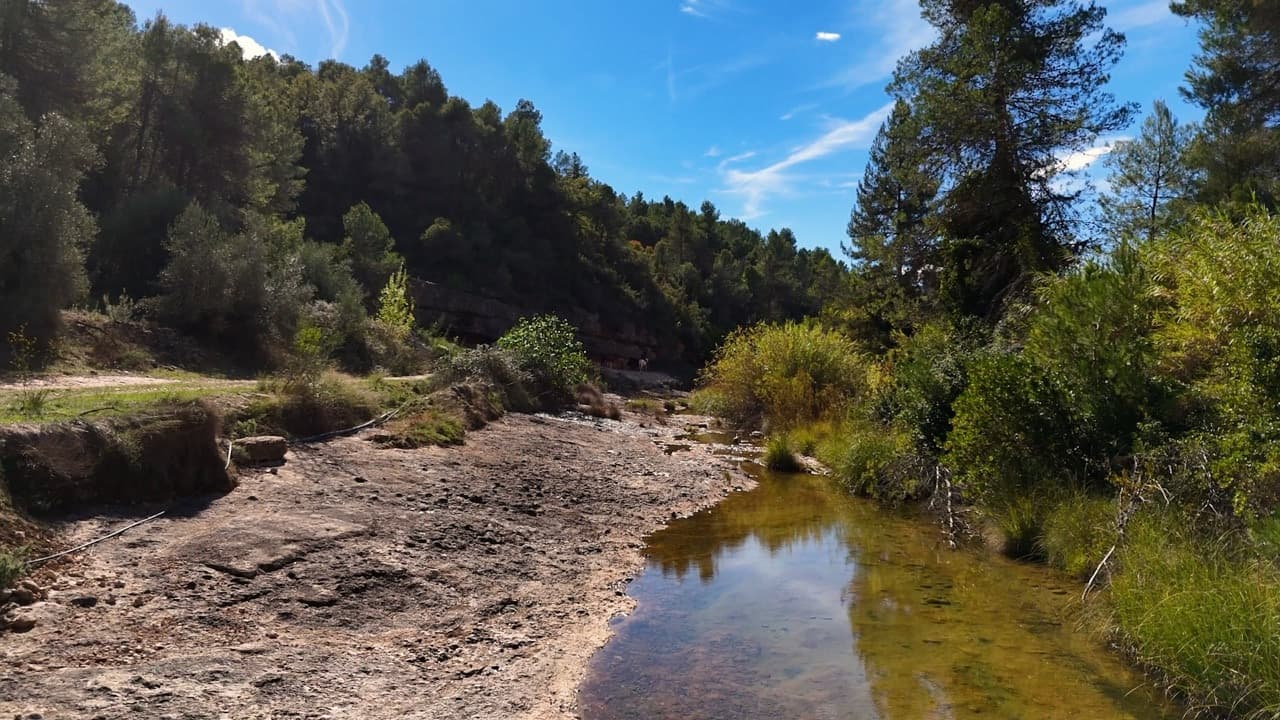 Arnes, project view 39