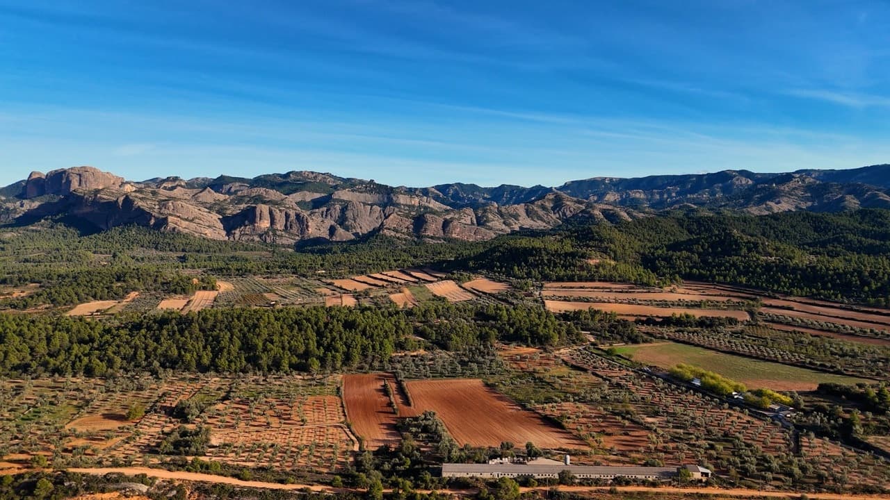 Arnes, project view 2