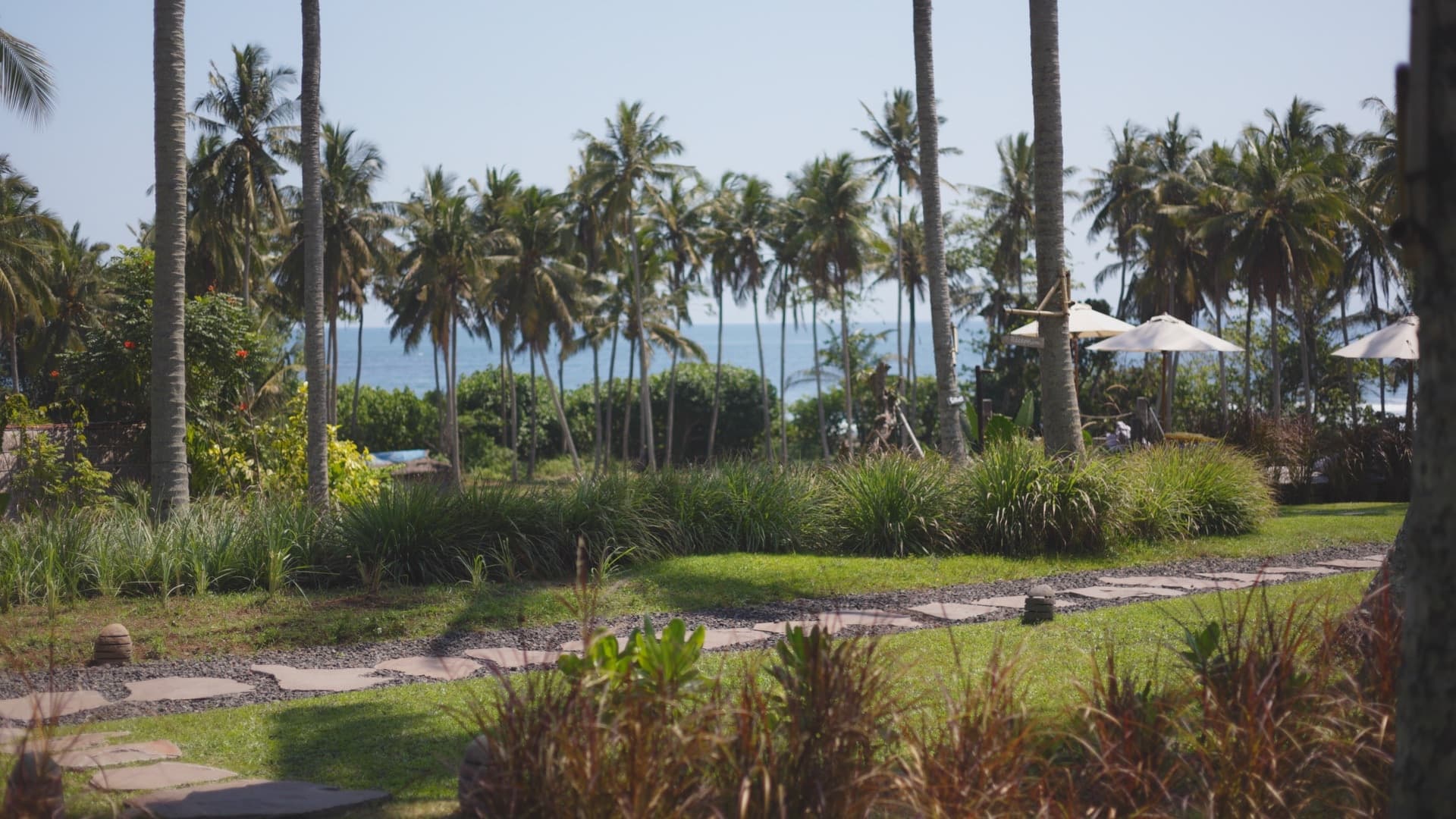 Bali / #soundsofplants, project view 2