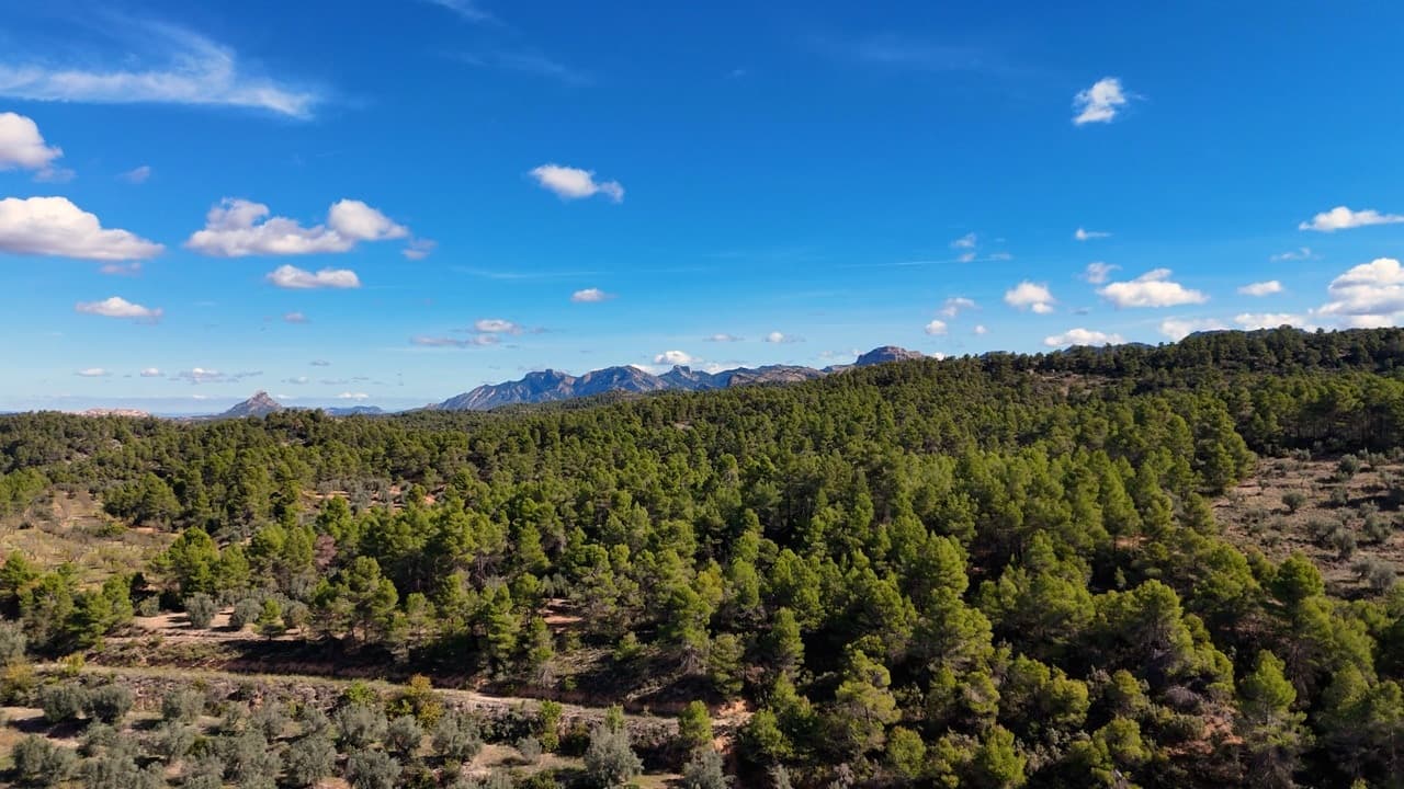 Arnes, project view 7