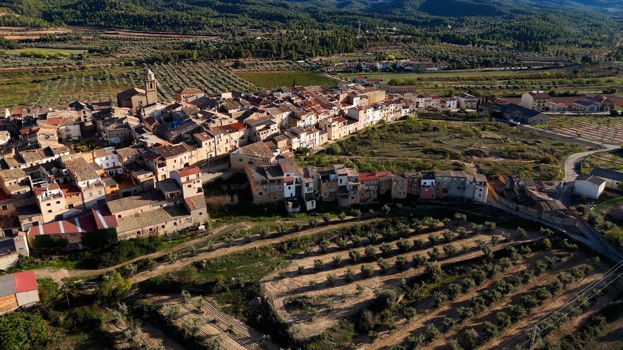 Arnes, project view 5