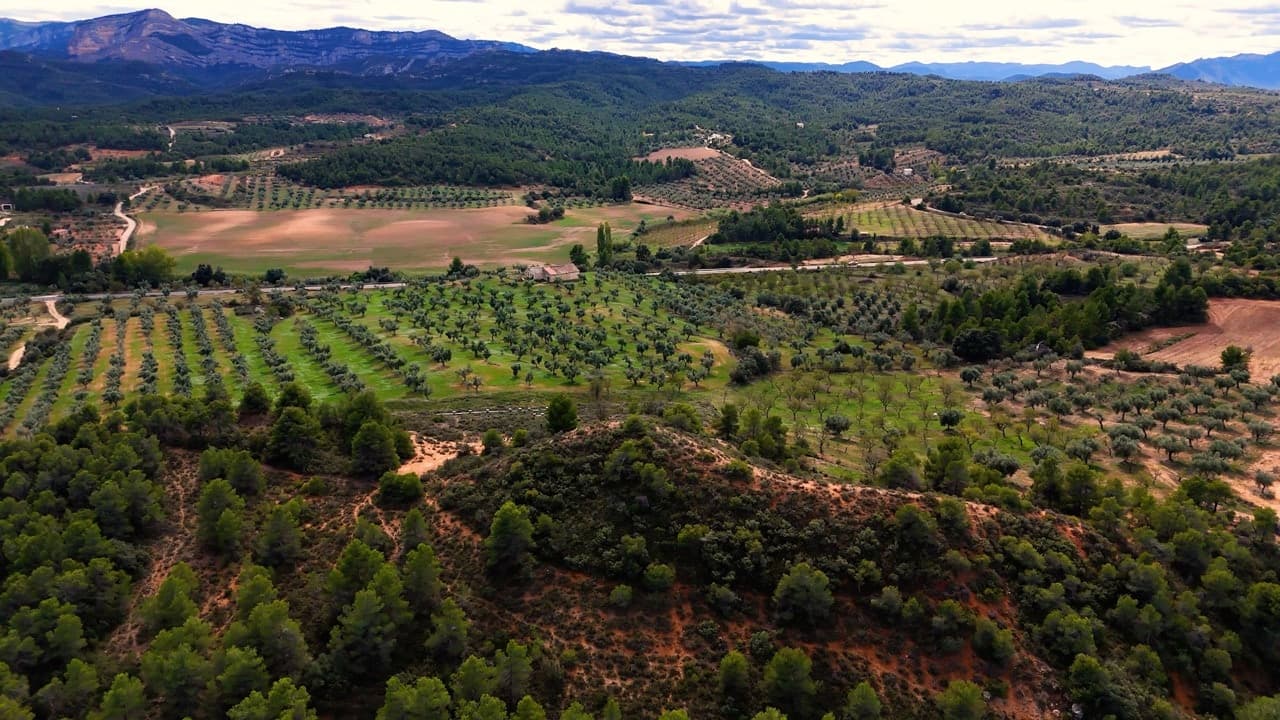 Arnes, project view 11